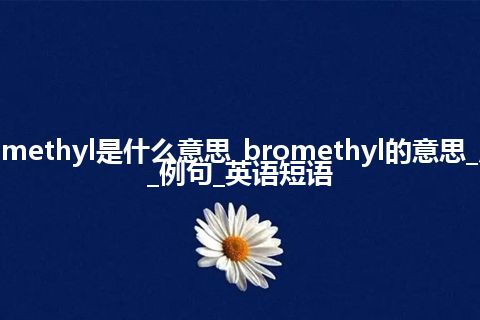 bromethyl是什么意思_bromethyl的意思_用法_例句_英语短语