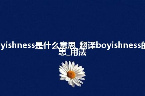 boyishness是什么意思_翻译boyishness的意思_用法