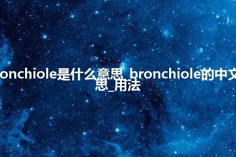 bronchiole是什么意思_bronchiole的中文意思_用法