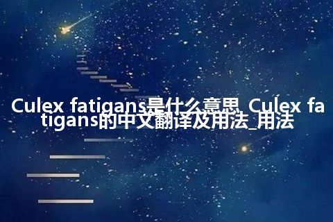 Culex fatigans是什么意思_Culex fatigans的中文翻译及用法_用法