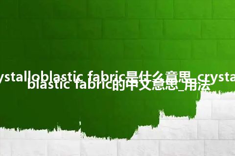 crystalloblastic fabric是什么意思_crystalloblastic fabric的中文意思_用法