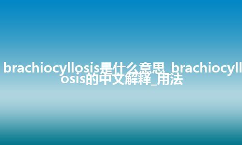 brachiocyllosis是什么意思_brachiocyllosis的中文解释_用法