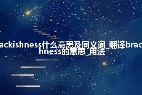 brackishness什么意思及同义词_翻译brackishness的意思_用法