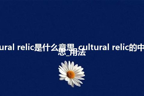 cultural relic是什么意思_cultural relic的中文意思_用法