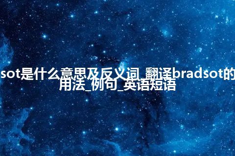 bradsot是什么意思及反义词_翻译bradsot的意思_用法_例句_英语短语