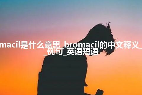 bromacil是什么意思_bromacil的中文释义_用法_例句_英语短语