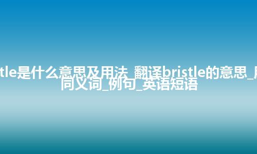 bristle是什么意思及用法_翻译bristle的意思_用法_同义词_例句_英语短语