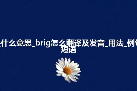 brig是什么意思_brig怎么翻译及发音_用法_例句_英语短语