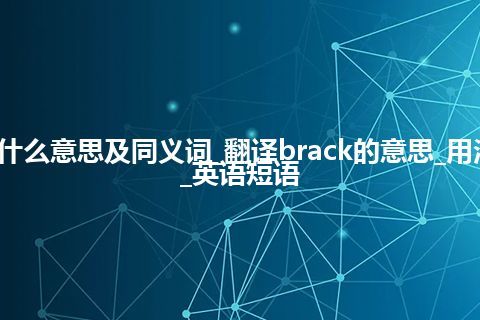 brack什么意思及同义词_翻译brack的意思_用法_例句_英语短语