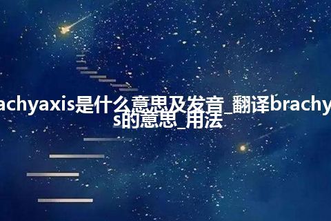 brachyaxis是什么意思及发音_翻译brachyaxis的意思_用法