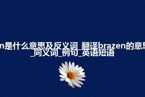 brazen是什么意思及反义词_翻译brazen的意思_用法_同义词_例句_英语短语