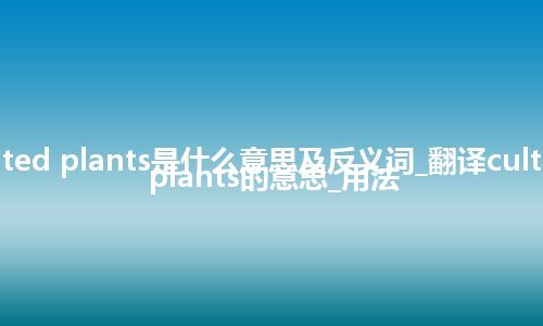 cultivated plants是什么意思及反义词_翻译cultivated plants的意思_用法