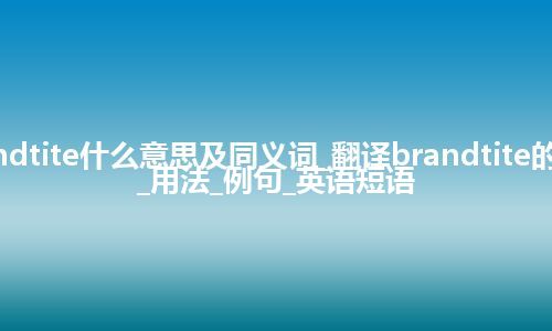 brandtite什么意思及同义词_翻译brandtite的意思_用法_例句_英语短语