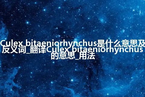 Culex bitaeniorhynchus是什么意思及反义词_翻译Culex bitaeniorhynchus的意思_用法