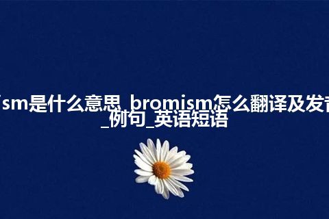 bromism是什么意思_bromism怎么翻译及发音_用法_例句_英语短语