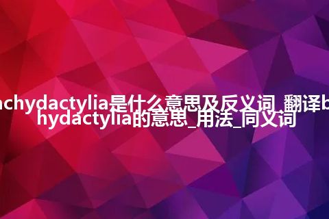 brachydactylia是什么意思及反义词_翻译brachydactylia的意思_用法_同义词