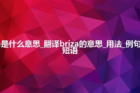 briza是什么意思_翻译briza的意思_用法_例句_英语短语