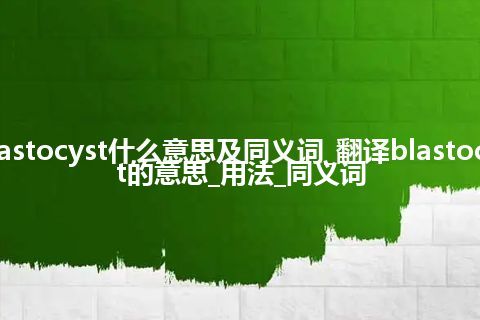 blastocyst什么意思及同义词_翻译blastocyst的意思_用法_同义词