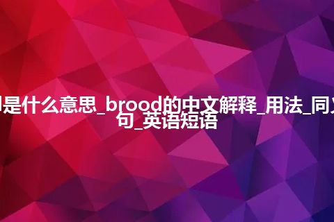 brood是什么意思_brood的中文解释_用法_同义词_例句_英语短语