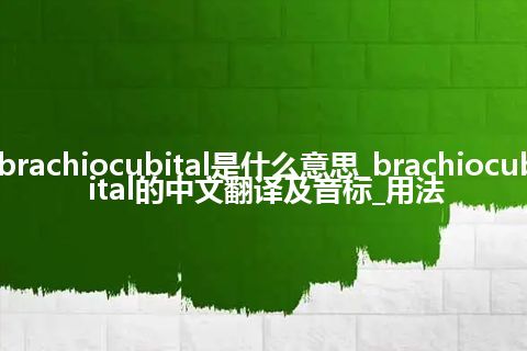 brachiocubital是什么意思_brachiocubital的中文翻译及音标_用法