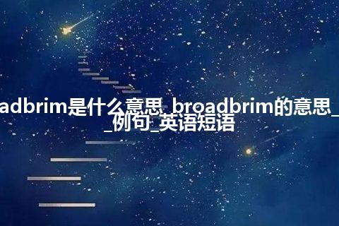 broadbrim是什么意思_broadbrim的意思_用法_例句_英语短语