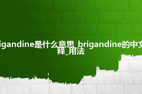 brigandine是什么意思_brigandine的中文解释_用法