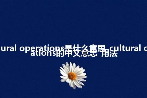 cultural operations是什么意思_cultural operations的中文意思_用法