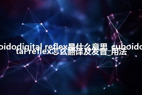 cuboidodigital reflex是什么意思_cuboidodigital reflex怎么翻译及发音_用法