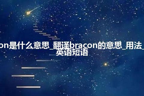 bracon是什么意思_翻译bracon的意思_用法_例句_英语短语