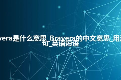 Brayera是什么意思_Brayera的中文意思_用法_例句_英语短语