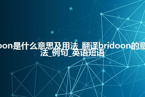 bridoon是什么意思及用法_翻译bridoon的意思_用法_例句_英语短语