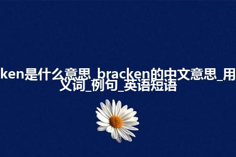 bracken是什么意思_bracken的中文意思_用法_同义词_例句_英语短语