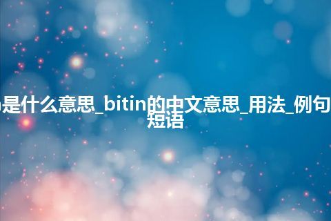 bitin是什么意思_bitin的中文意思_用法_例句_英语短语