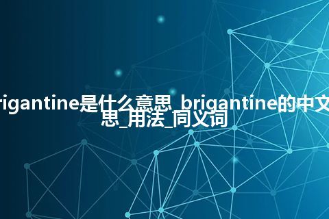 brigantine是什么意思_brigantine的中文意思_用法_同义词