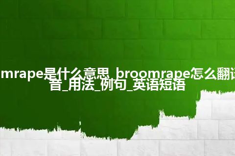 broomrape是什么意思_broomrape怎么翻译及发音_用法_例句_英语短语