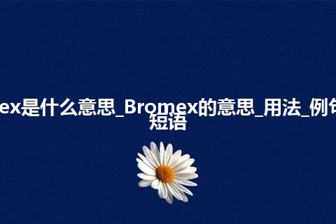 Bromex是什么意思_Bromex的意思_用法_例句_英语短语