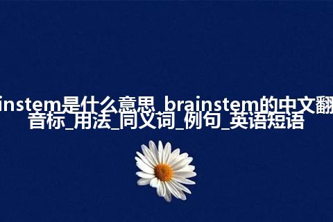 brainstem是什么意思_brainstem的中文翻译及音标_用法_同义词_例句_英语短语