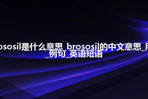 brososil是什么意思_brososil的中文意思_用法_例句_英语短语