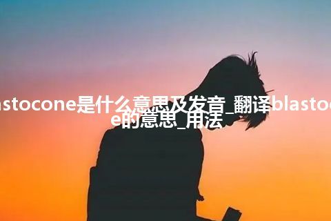 blastocone是什么意思及发音_翻译blastocone的意思_用法