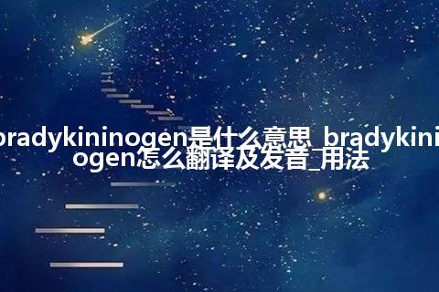 bradykininogen是什么意思_bradykininogen怎么翻译及发音_用法