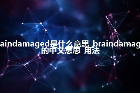 braindamaged是什么意思_braindamaged的中文意思_用法