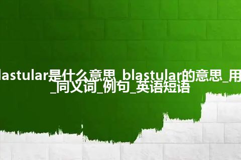 blastular是什么意思_blastular的意思_用法_同义词_例句_英语短语