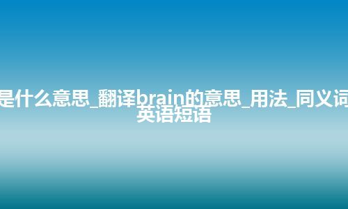 brain是什么意思_翻译brain的意思_用法_同义词_例句_英语短语