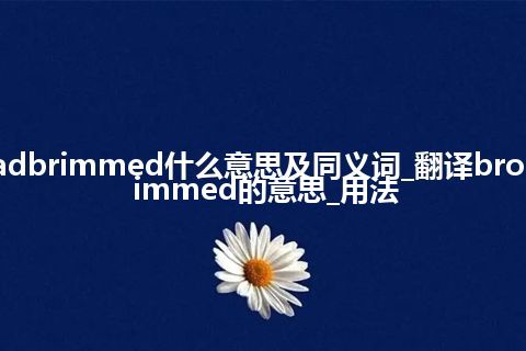 broadbrimmed什么意思及同义词_翻译broadbrimmed的意思_用法