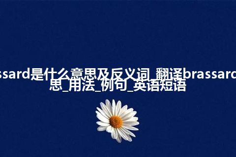 brassard是什么意思及反义词_翻译brassard的意思_用法_例句_英语短语