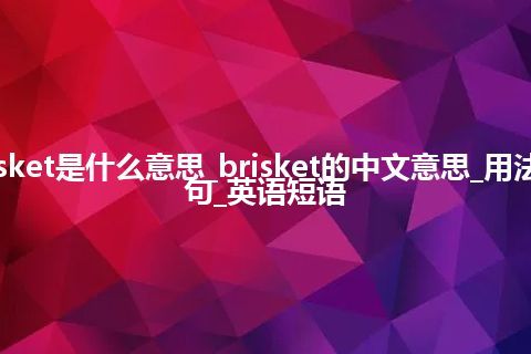 brisket是什么意思_brisket的中文意思_用法_例句_英语短语