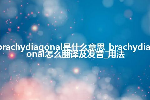 brachydiagonal是什么意思_brachydiagonal怎么翻译及发音_用法