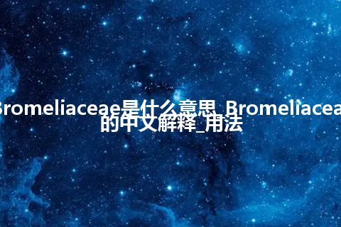 Bromeliaceae是什么意思_Bromeliaceae的中文解释_用法