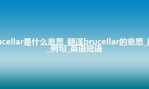 brucellar是什么意思_翻译brucellar的意思_用法_例句_英语短语