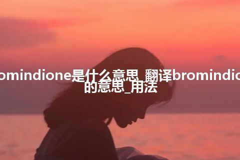 bromindione是什么意思_翻译bromindione的意思_用法